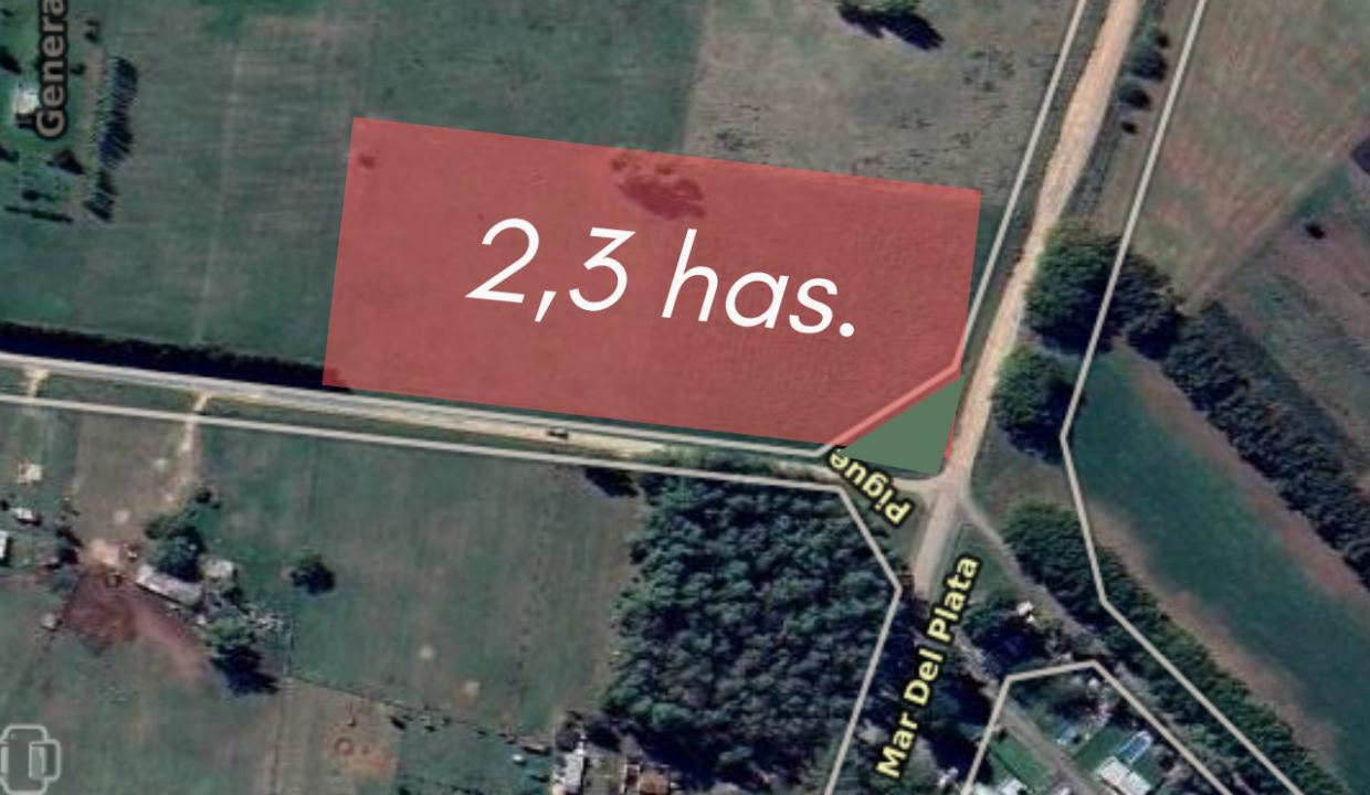 32